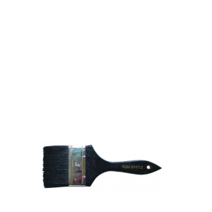 BUDGET/DISPOSABLES PAINT BRUSHES